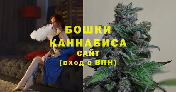 ГАЛЛЮЦИНОГЕННЫЕ ГРИБЫ Лихославль
