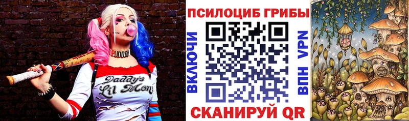 Псилоцибиновые грибы Cubensis Купить где Феодосия